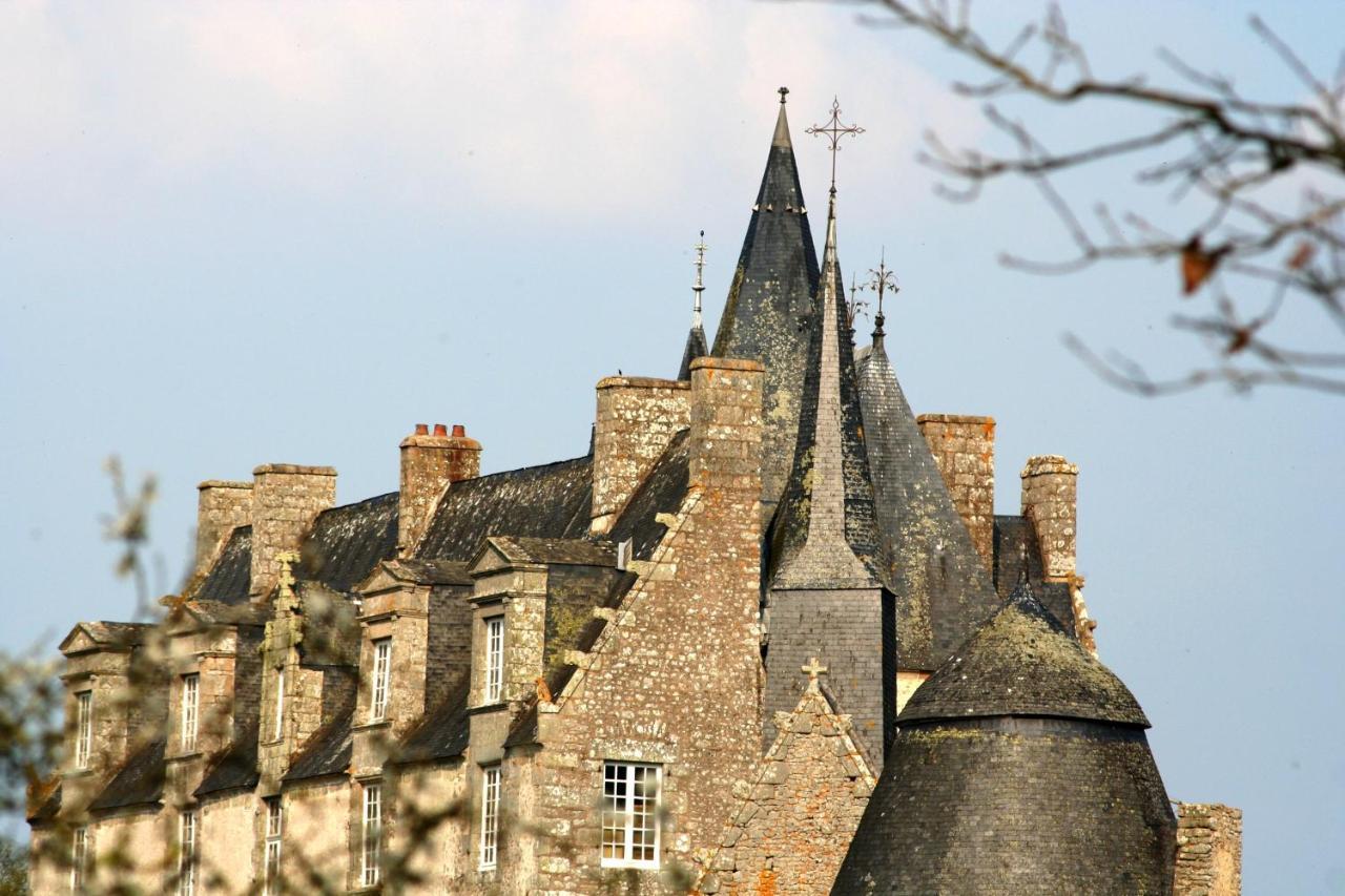 Chateau De Bourgon Montourtier Kültér fotó